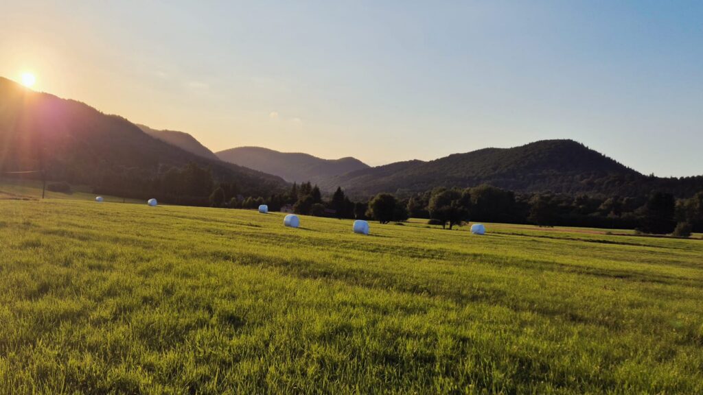 whatsapp image 2026 03 22 at 17.21.06